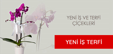 Öneçıkan Ürün